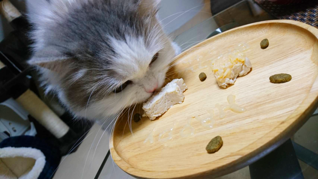 お祝いにぴったり 猫向け簡単手作りプレートのご紹介 猫のちゃぷ日記